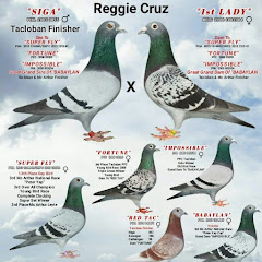 Reggie Cruz Loft & Aviary net worth