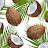 coconut pick3