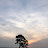 김스러빌