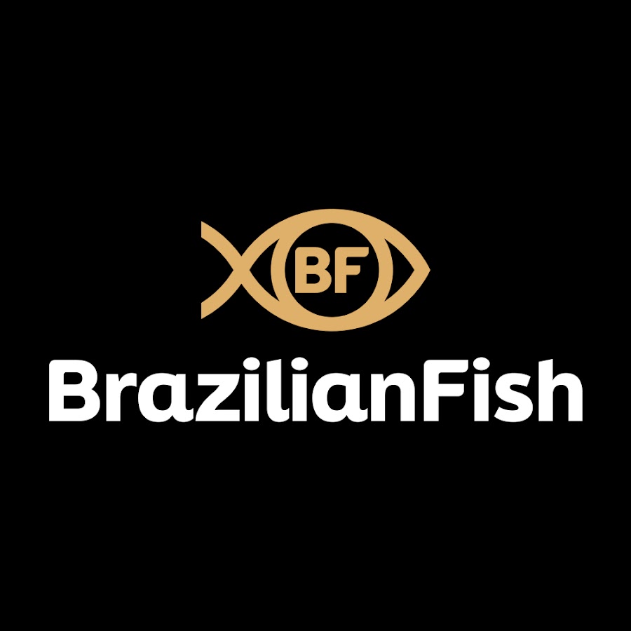 AMLnZu_1etnTFopOOkSuZNnwb3_8oBEfLTcVsEZqUvhS=s900ckc0x00ffffffnorj