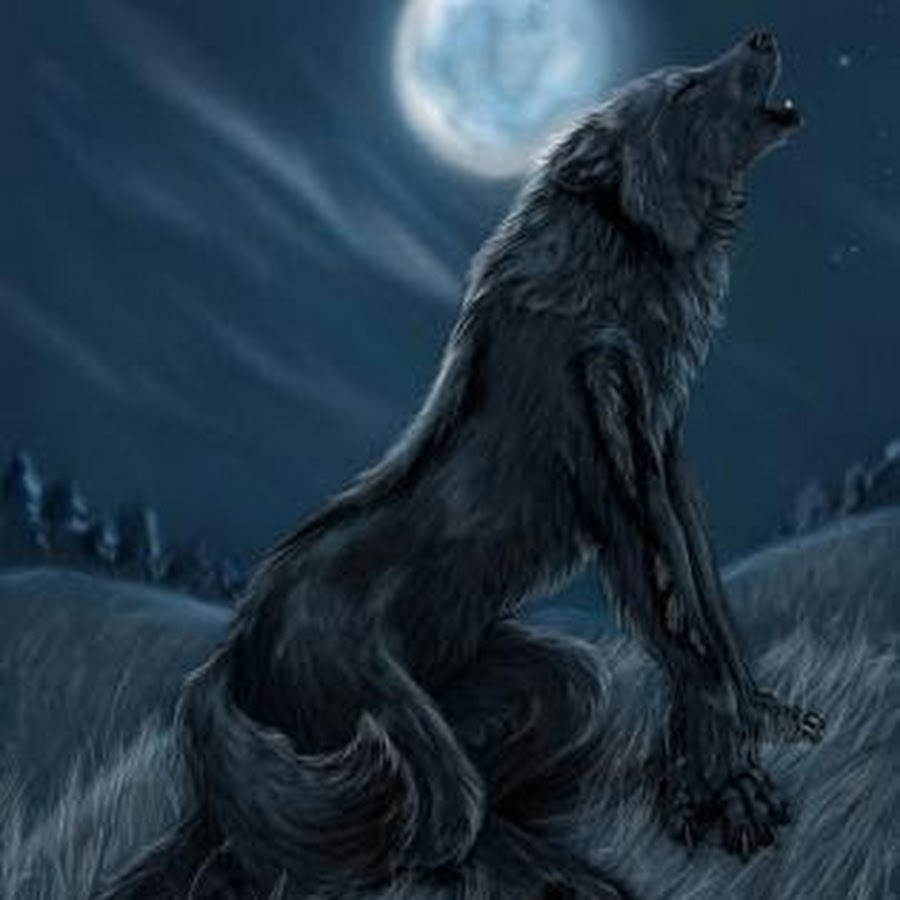 Волк оборотень Werewolf