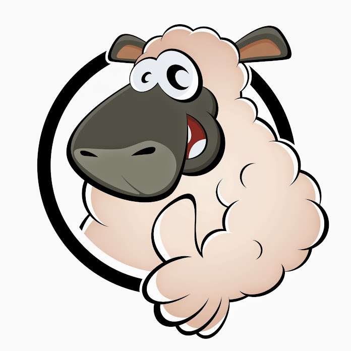 SkinOvelha Net Worth & Earnings (2026)