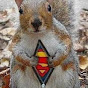 SequoiaSquirrels - @SequoiaSquirrels YouTube Profile Photo