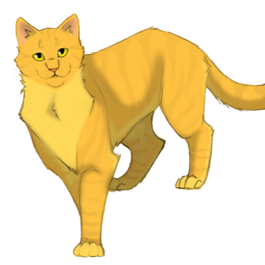 Листвичка коты вои ели. Коты воители золотой кот. Коты воители золотой кот. Солнцезвезд коты воители арт. Шлатошейка коты воители.