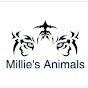 Millie Smith YouTube Profile Photo