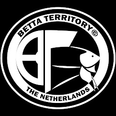 Thumbnail of related channel