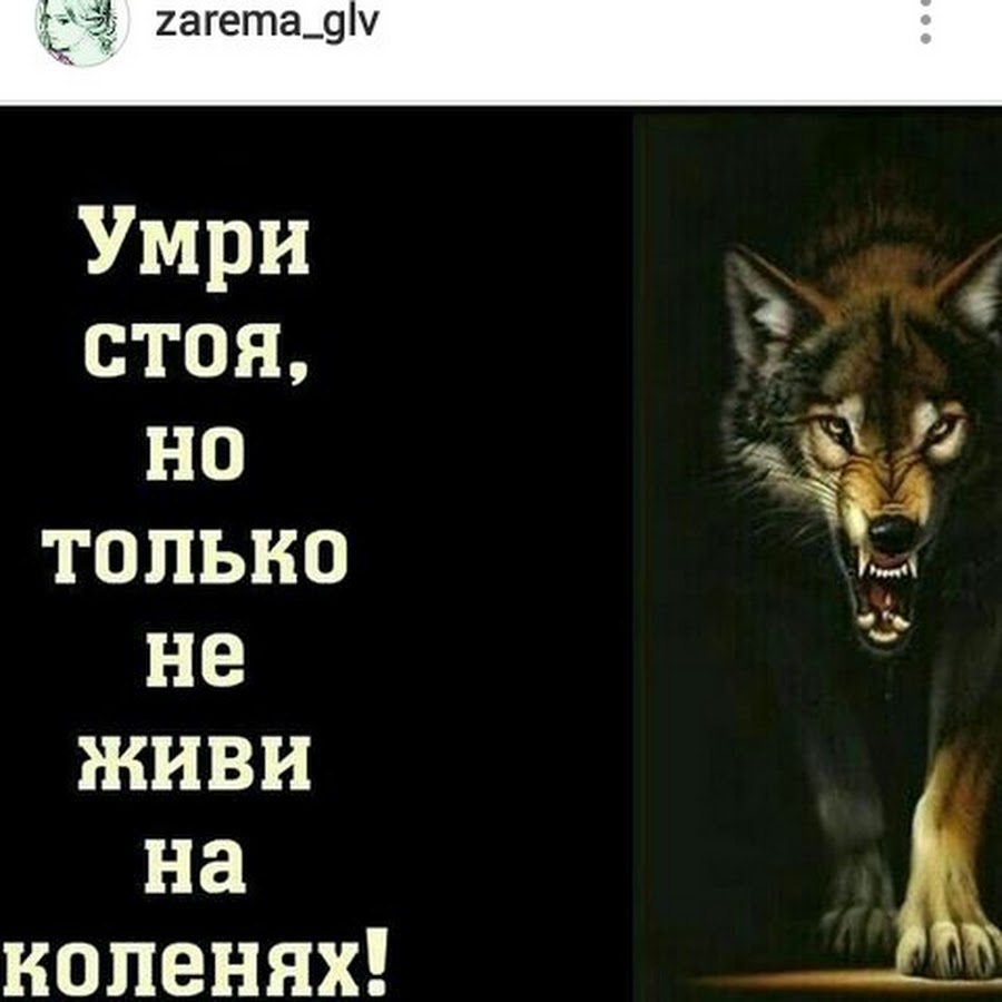На злых людей мы сами волки