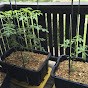 Urban Refuge Gardening YouTube Profile Photo