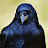 Lucar01 Inos Avatar