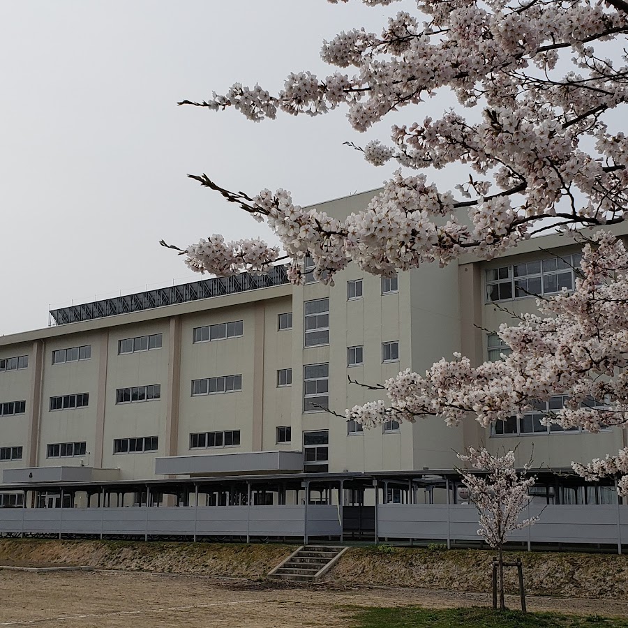 AMLnZu_6hhkU1iY_RvojHX5ISDfVeQZnfQoaNFVjy2l=s900ckc0x00ffffffnorj