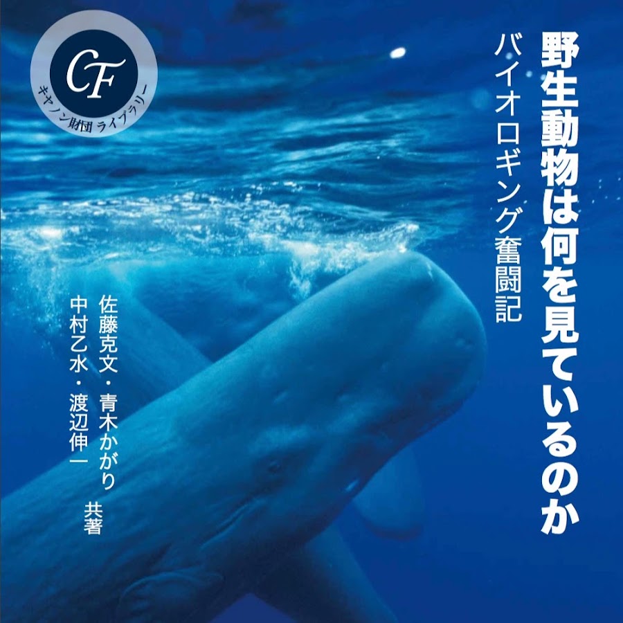 野生動物は何を見ているのか Youtube