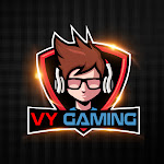 VY Gaming Net Worth