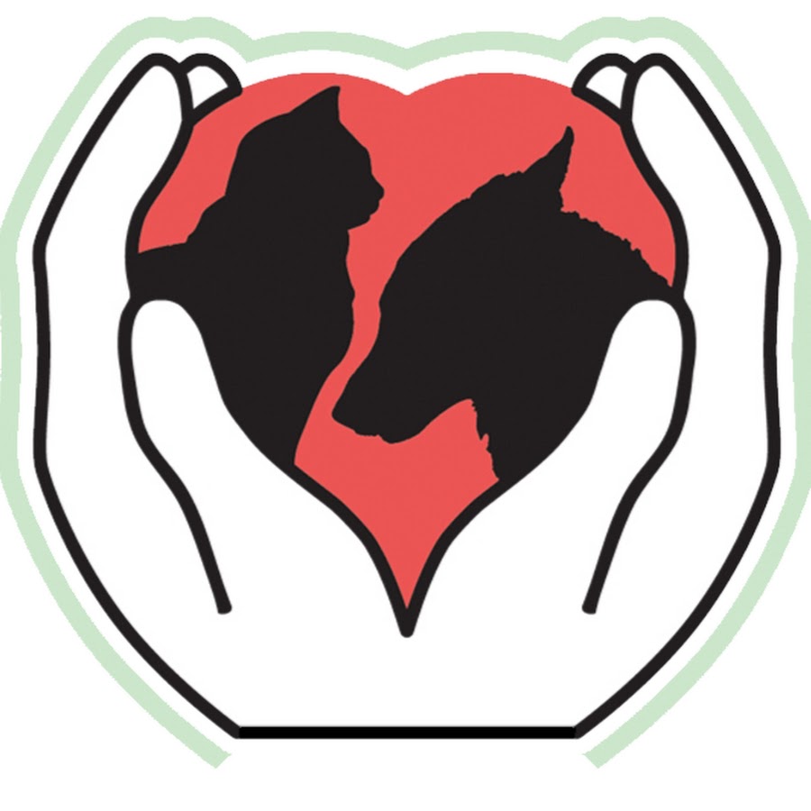 Защита бездомных животных. Объявления о помощи животным. Сайт помощи животным. Бездомные собаки. Сайт помощи животным.