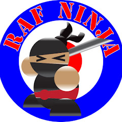 RAF_Ninja net worth