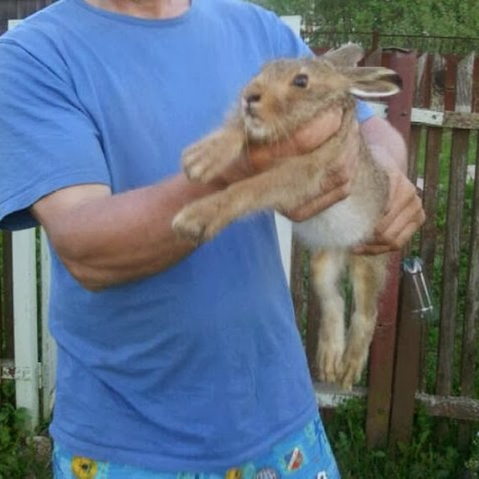 Kalinin Net Worth & Earnings (2026)