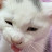 은세