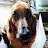 Julie Arrowood Avatar