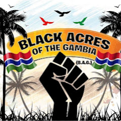 Black Acres Of The Gambia net worth