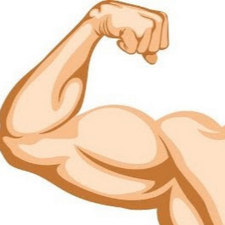 Бицепс картинка для детей