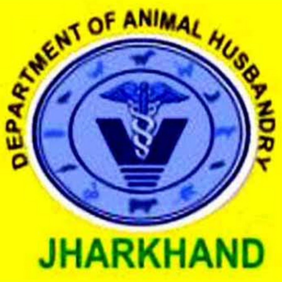 Animal Husbandry Directorate Jharkhand, Ranchi - YouTube