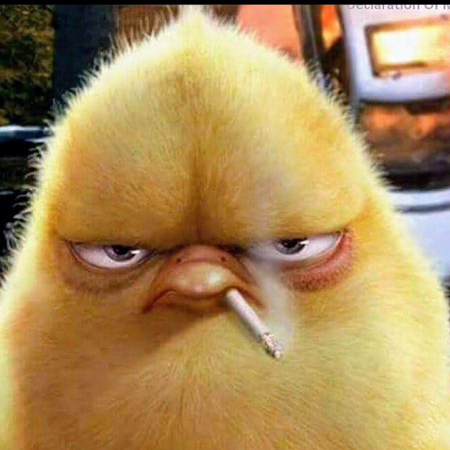 AMLnZu_Ajf9nf8KozLanRWVeWiDzmIgwqMtA5XK8mjLcaA=s900ckc0x00ffffffnorj