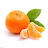 Mandarine Basilic