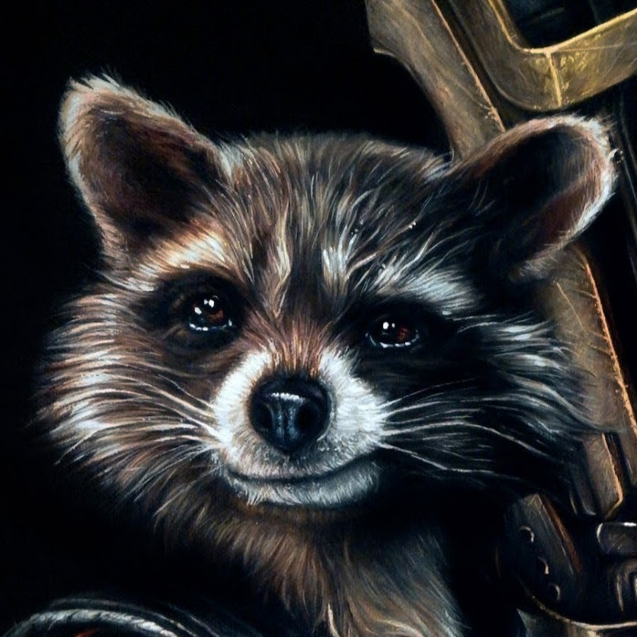 Крутой енот картинки