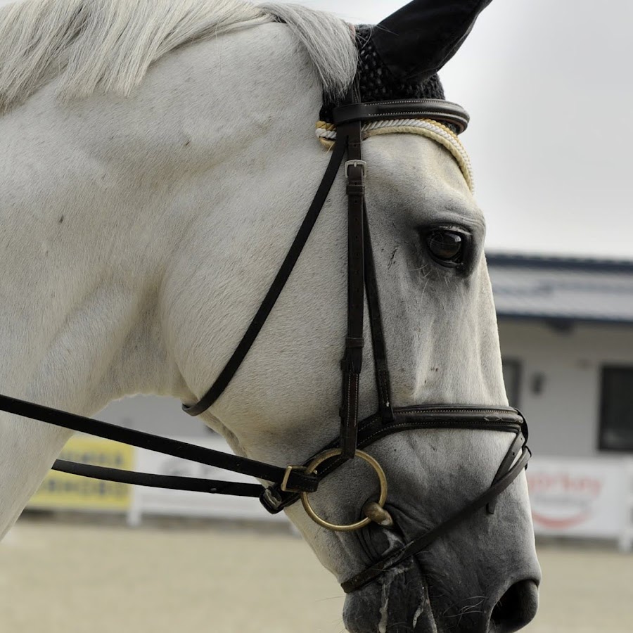 AMLnZu_BaLs1fnK1Zj6RikryBQa2NVmo46znEDtioLql=s900ckc0x00ffffffnorj