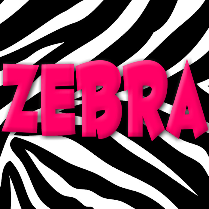 Zebra Nursery Rhymes - Kids Song and Cartoons Net Worth & Earnings (2023)