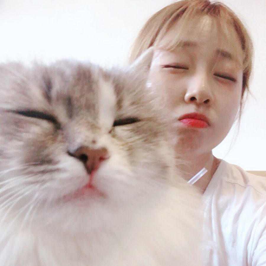 Re: [問卦] 莫彩曦 酷的夢 金針菇 你支持誰?