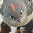 Willapa Photo Avatar