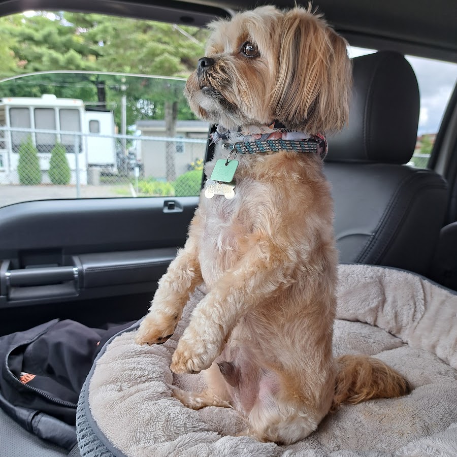 AMLnZu_DIYjB5lHwHlusHjWHQ7odYBFHQLN5V6Hhtsdo8=s900ckc0x00ffffffnorj