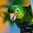 Dirty South Avatar