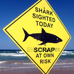 Shark Scrapper net worth