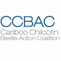 CCBAC YouTube Profile Photo