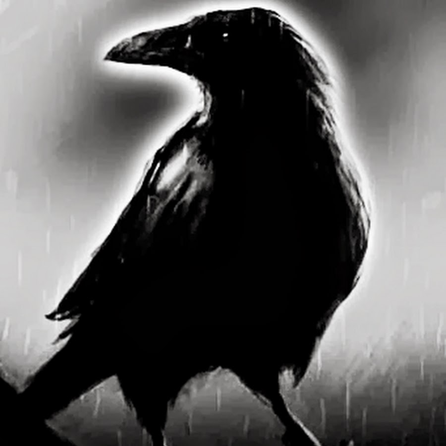 El cuervo christopher lewis. The Raven Edgar Allan POE.