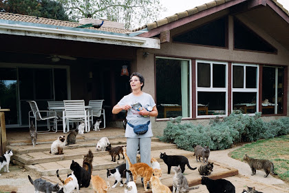 cat house on the kings fresno