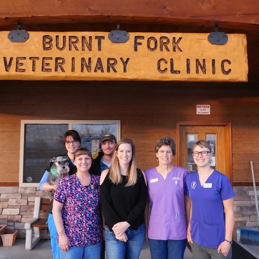 AMLnZu_GsOGf3efir0ySVG8cEYCkKI4Lq5hRGQEga0up=s900ckc0x00ffffffnorj