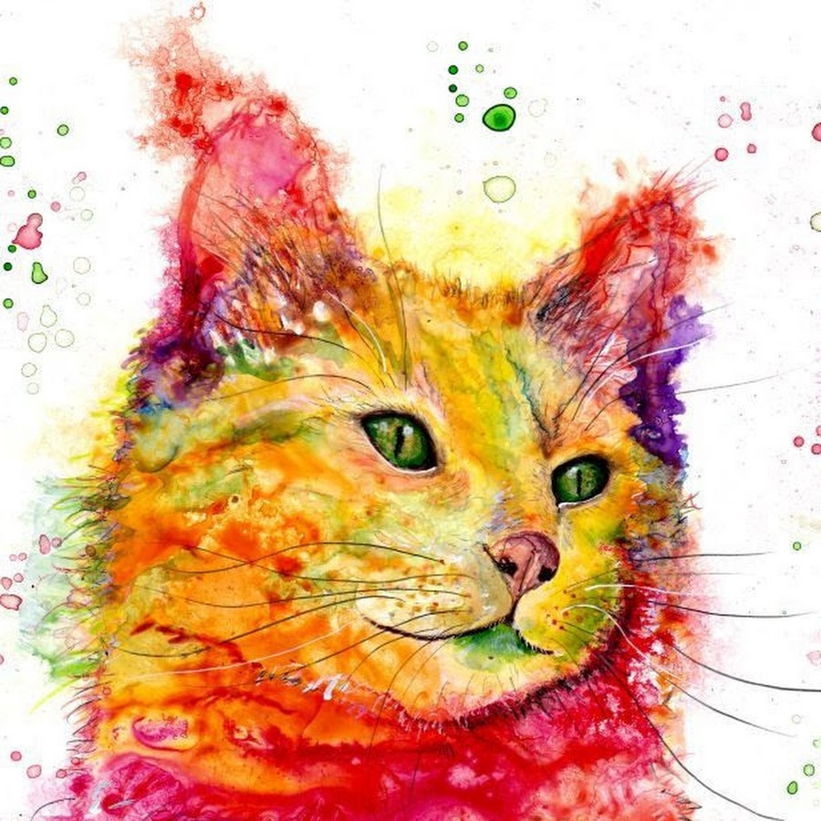 Colorful cat