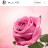 Sheeja Noushad Avatar