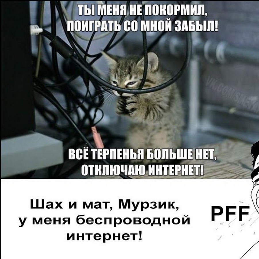 Покорми меня. Накорми меня и я буду. В совке лучше кот. Покормите меня. Накорми меня.
