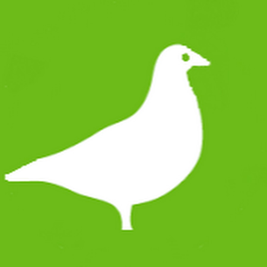 匿名ハト Youtube