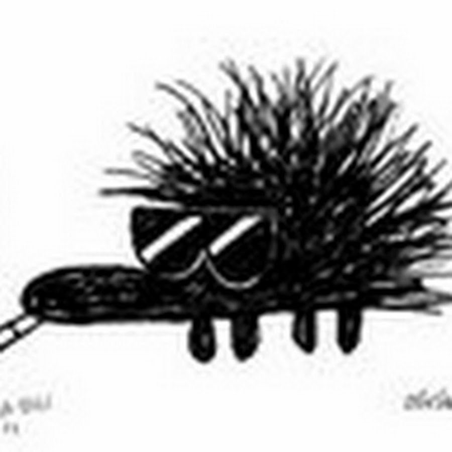 Ёж шедоу на мотоцикле. Медведь киборг. Набор "робот-ёжик" (21-896/вв3769). Кибер еж. Кибер еж.