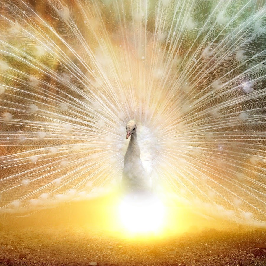 Power For Luck And Health Youtube