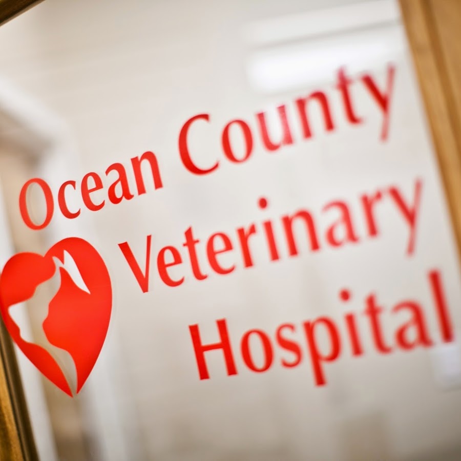 AMLnZu_L5NCZMXXyq5CClYsXh6JoexH2K4quY_d1c_ab=s900ckc0x00ffffffnorj