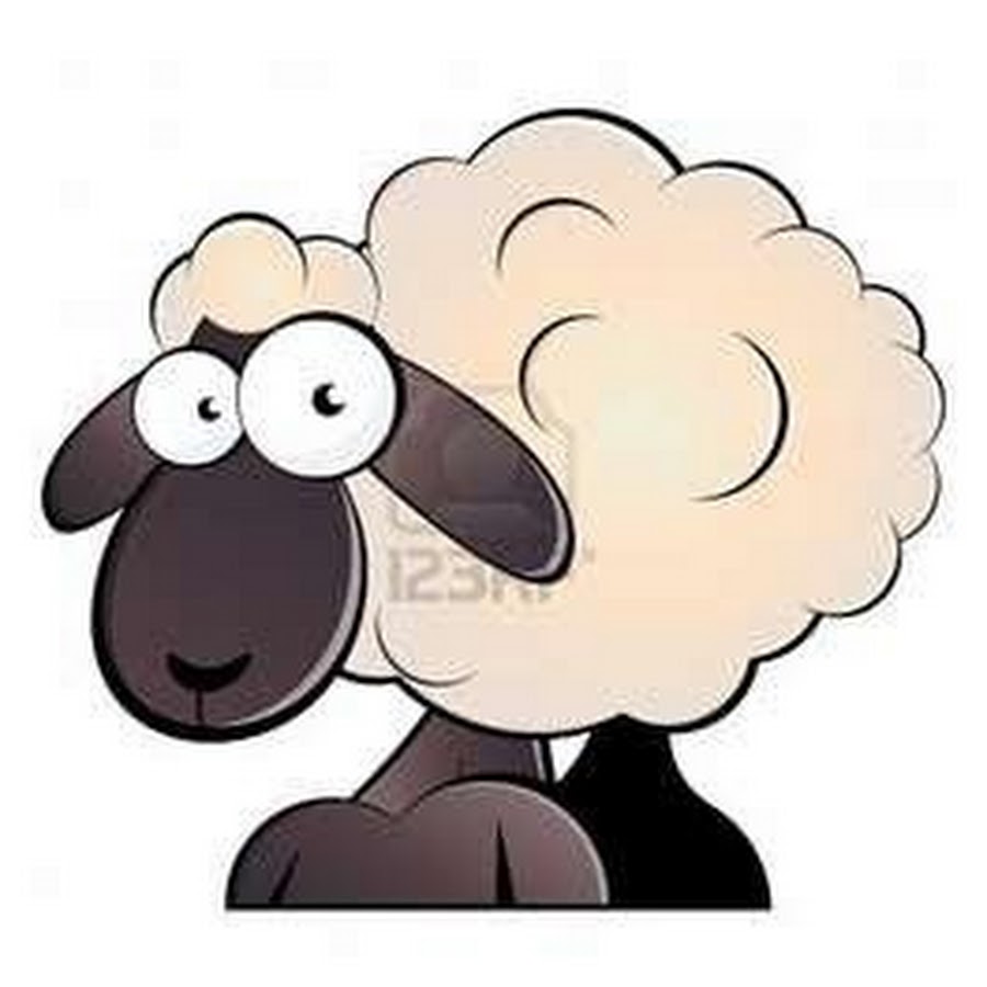 Counting Sheep