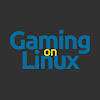 What could Gaming On Linux buy with $100 thousand?