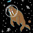 SPACE WALRUS