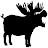 Hippopigamoose