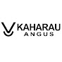 Kaharau Angus Stud YouTube Profile Photo